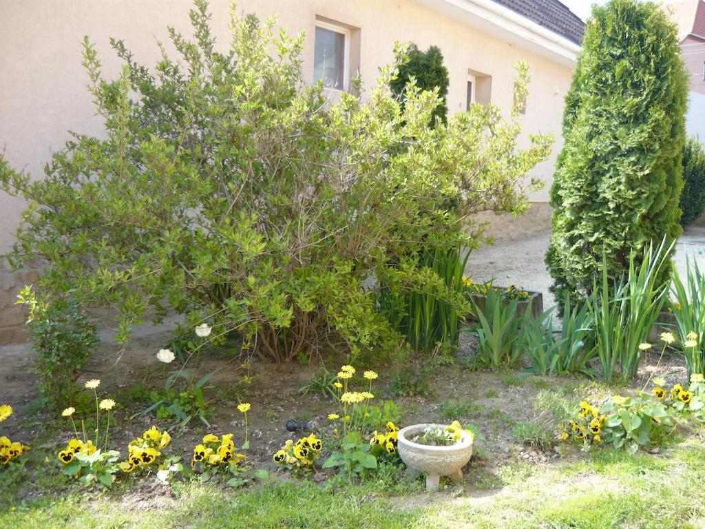 Kaman Vendeghaz Apartment Alsópáhok Bagian luar foto